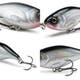 Cranky-Shad_Black-Silver_V1.jpg