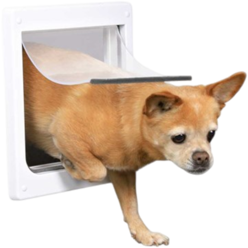 prod1000-dog_clip_3877-2_.png