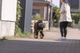 prod1000-34725_(6).png