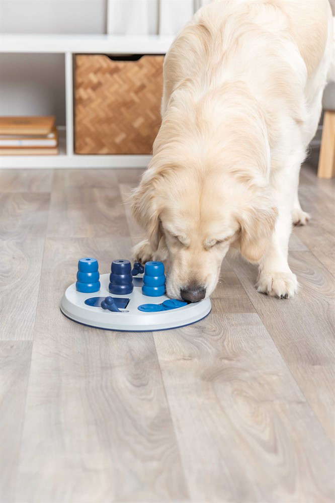 prod1000-dog_32053-4.png