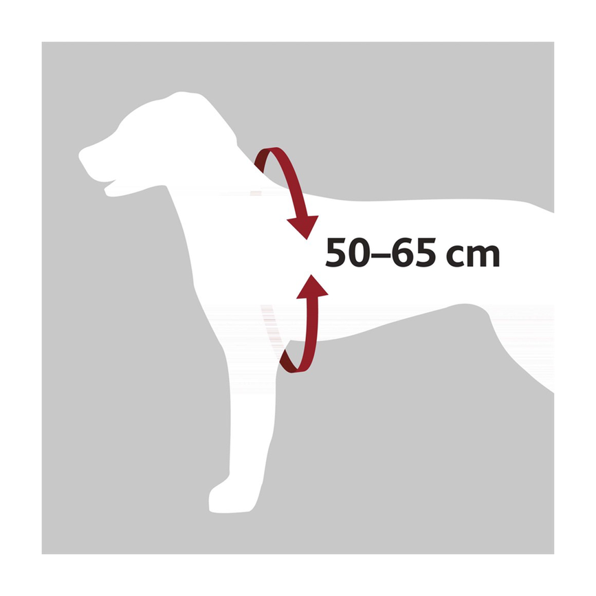 prod1000-12856-1-illustration.png