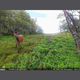 wp-content-uploads-2025-09-hunter-viltkamera-foto-02.png