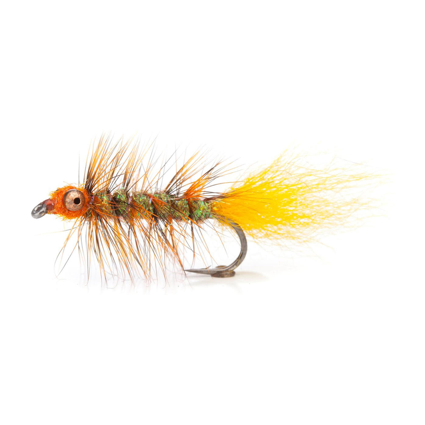 4-fairpoint-public-pim-bc-9fcb15c3-5eda-460f-a450-2c34cd38d1ba-fl00699zc_fl00630_rpo_yellowtail_large.png