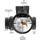 large-public-content-images-2024-01-veracity_ph_4-20x50_hud_.webp.png