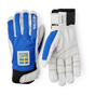 Royal blue/Yellow