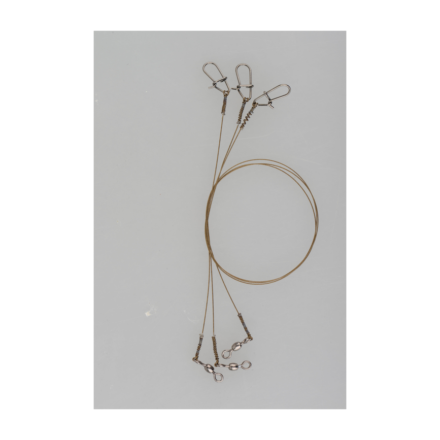 svs_sgt029_ms.png