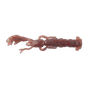 Bloodworm
