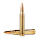 20176872-20176872-2.png