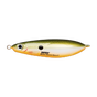 Redfin Shiner