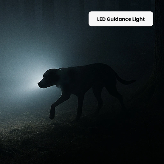 image-cachewebp-catalog-led-rex-800x800.png
