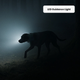 image-cachewebp-catalog-led-rex-800x800.png