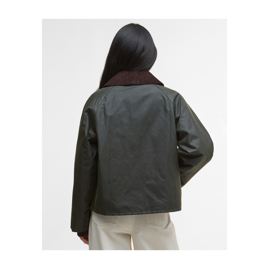 lwx1482ol52_04back.png