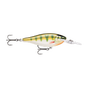 Gilded Yellow Perch