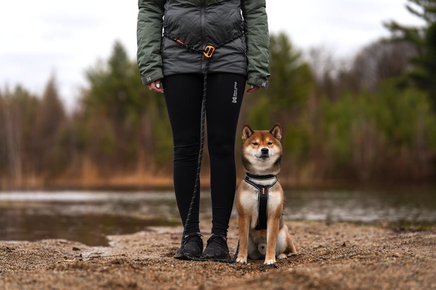 rockadjustableleash_black_1636_09_lifestyle.jpg