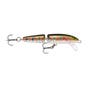 Rainbow Trout