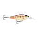 api-2000x2000,fit-new-146577.png