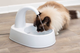 prod1000-cat_24444-6.png