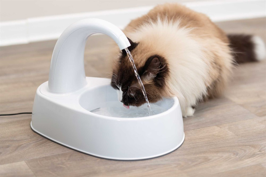 prod1000-cat_24444-6.png