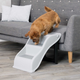 prod1000-pro_dog_01-39475-1.png