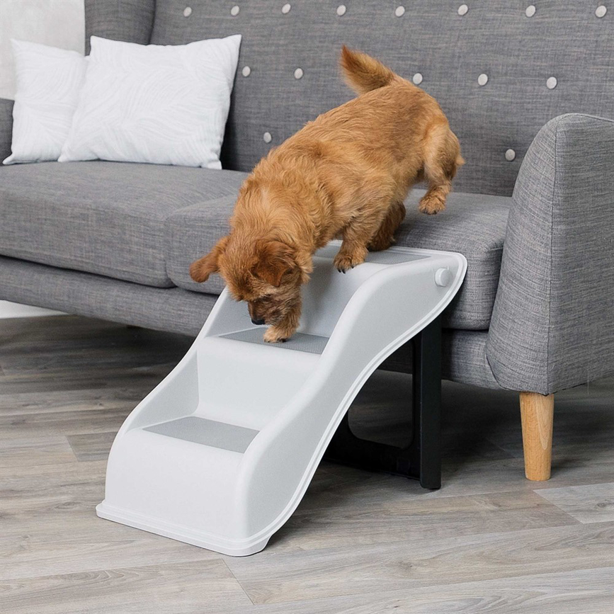 prod1000-pro_dog_01-39475-1.png