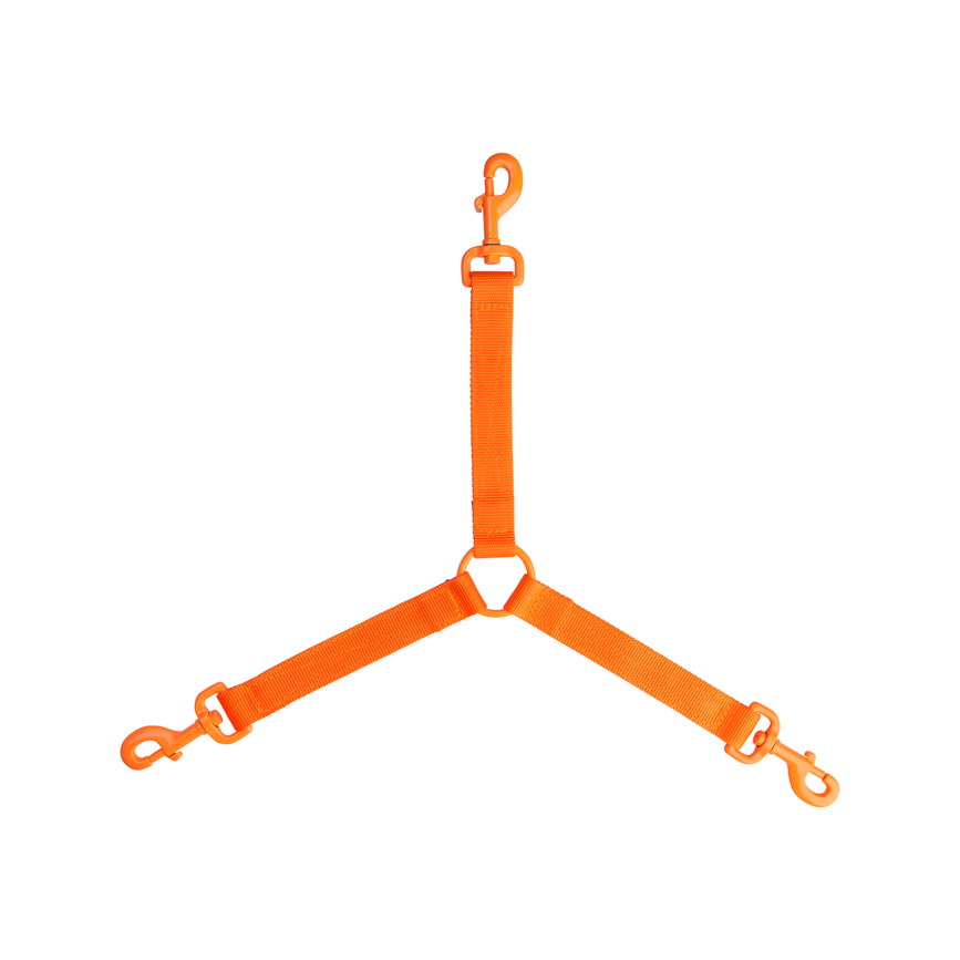 510875_1.png