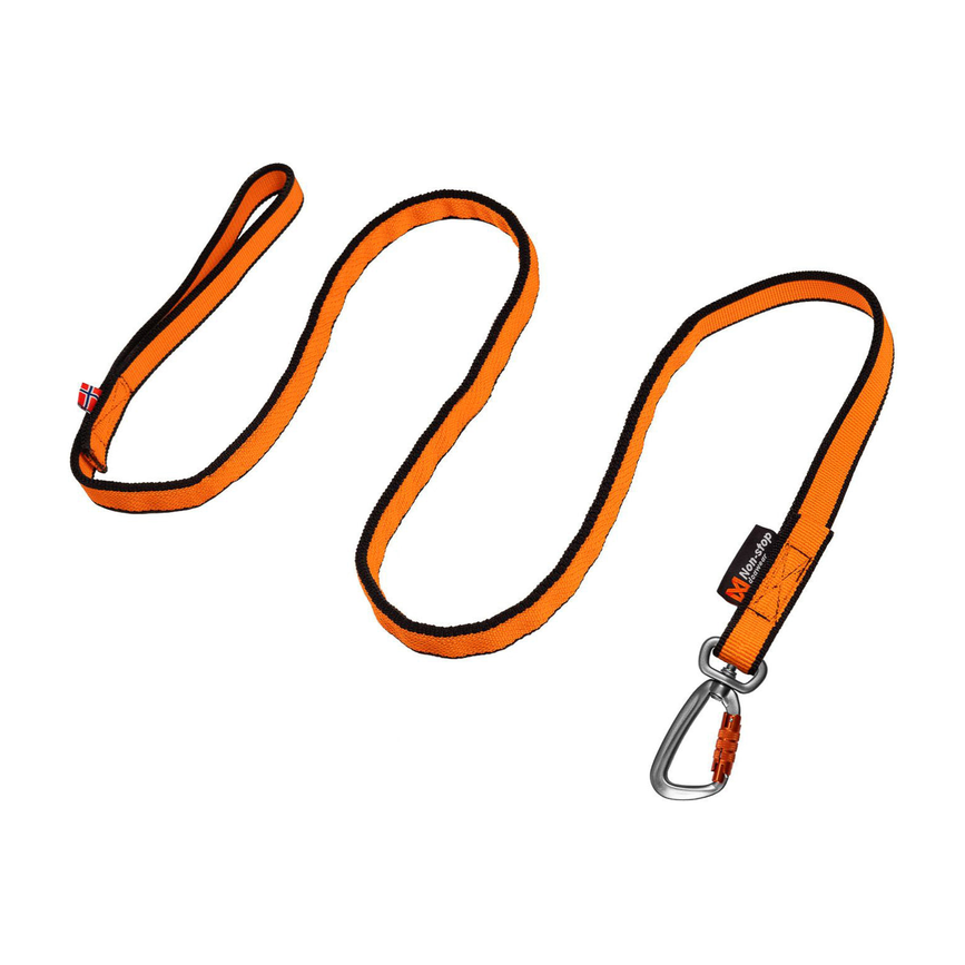 bungee_leash_1.png
