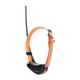 imgi_22_artemis_5d2a1129.png