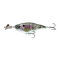 Bluegill