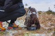 trekking_bowl_setting_2.png