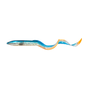 Blue Fegis Eel