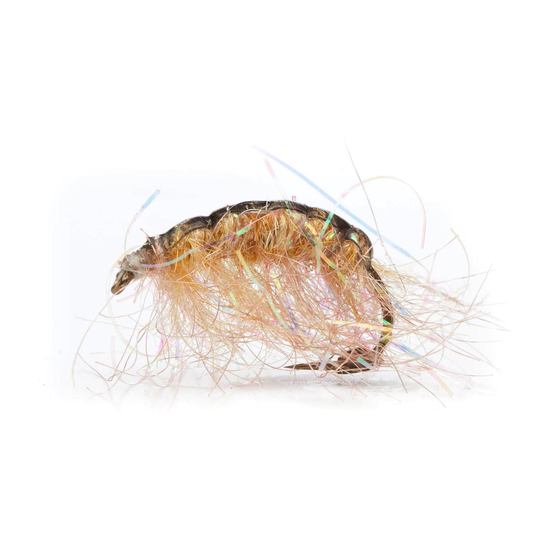 4-fairpoint-public-pim-bc-a8f320ba-2ace-4714-adff-721f178339fd-fl00699x_fl00625_polarloppen_sand_large.png