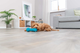 prod1000-pro_dog_35251-1.png