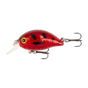 Ladybird