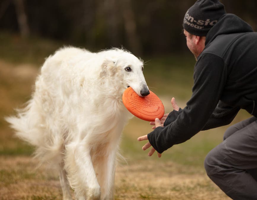 flying_disc_setting_1.jpg