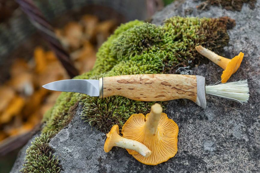 2023-03-al-muschroom-knife-curly-birch-2_.webp.png