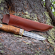 cdn-shop-files-906018-origpic-bb9b1e_2048x2048.png
