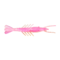Laguna Shrimp