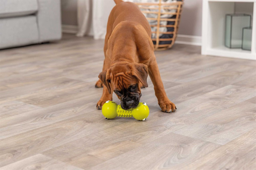 prod1000-pro_dog_35251-11.png