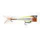 api-2000x2000,fit-new-151374.png