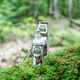 7e-1c-aa-1768569525-590229_2.png