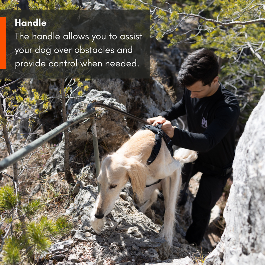 hrn-45009_06.png