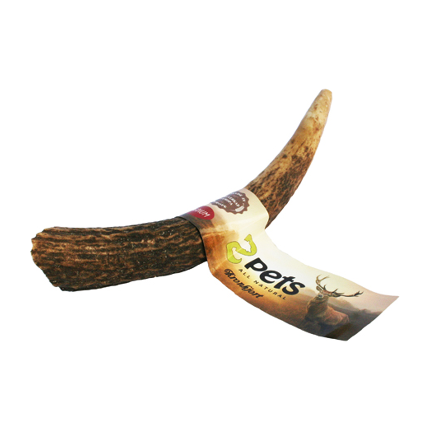 prod1000-175303_b.png