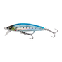 Ghost Sardine