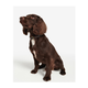 dw50a2b457-images-dac0005tn11-dac0005tn11_03getthelook.png