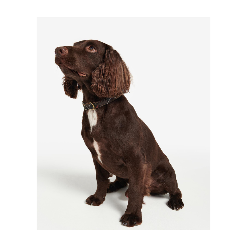 dw50a2b457-images-dac0005tn11-dac0005tn11_03getthelook.png