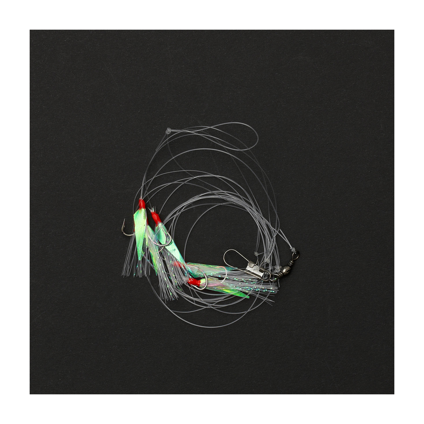 svs_rtt002_ms.png