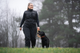 retriever_leash_setting_1.png