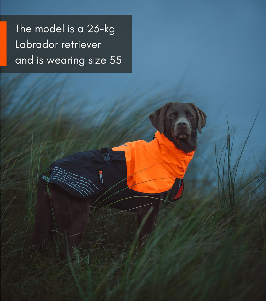 fjord_raincoat_setting_1.png