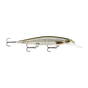 Live Roach