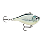 Baby Aspius